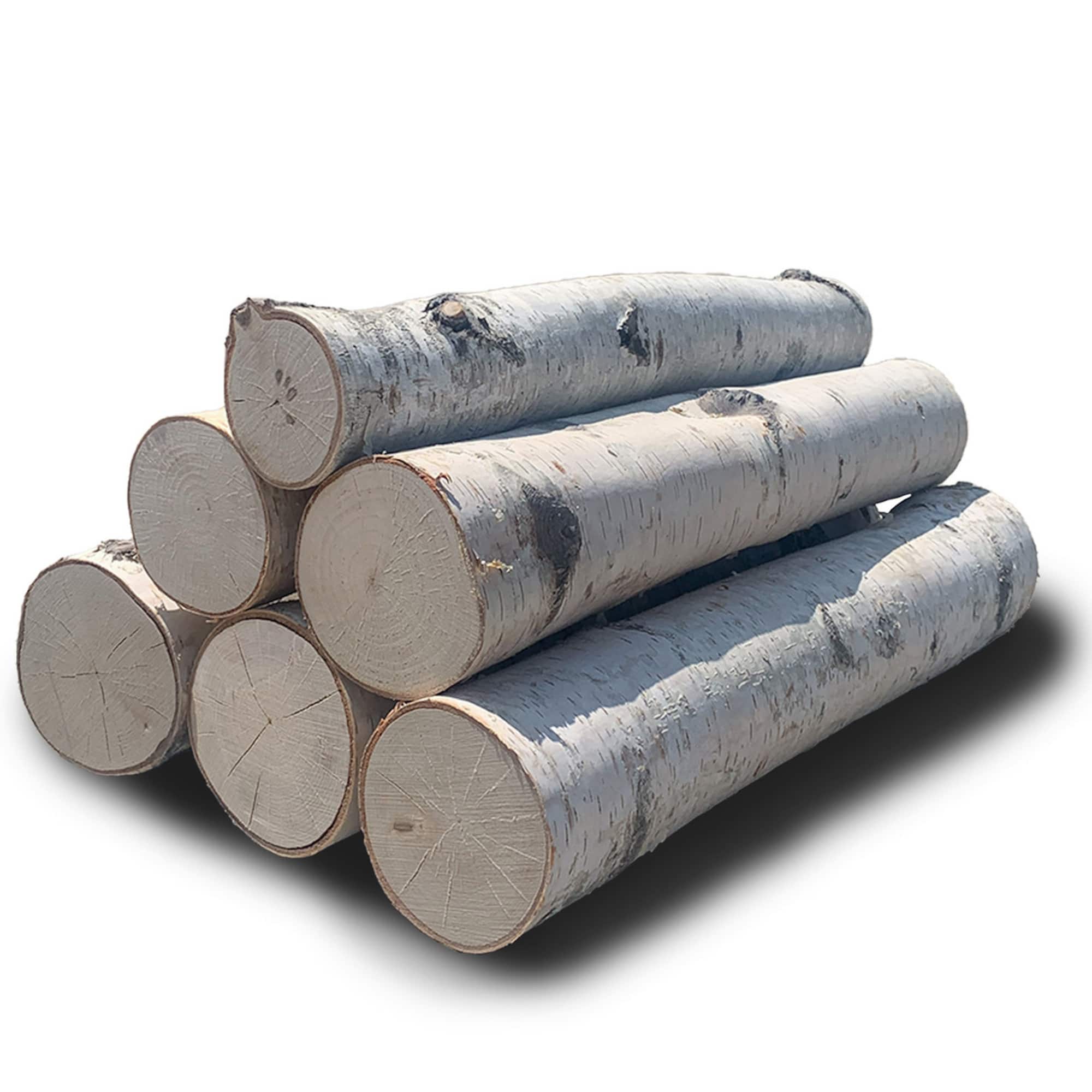 Wilson® Enterprises 1.5" to 4" White Birch 6-Log Fireplace Set